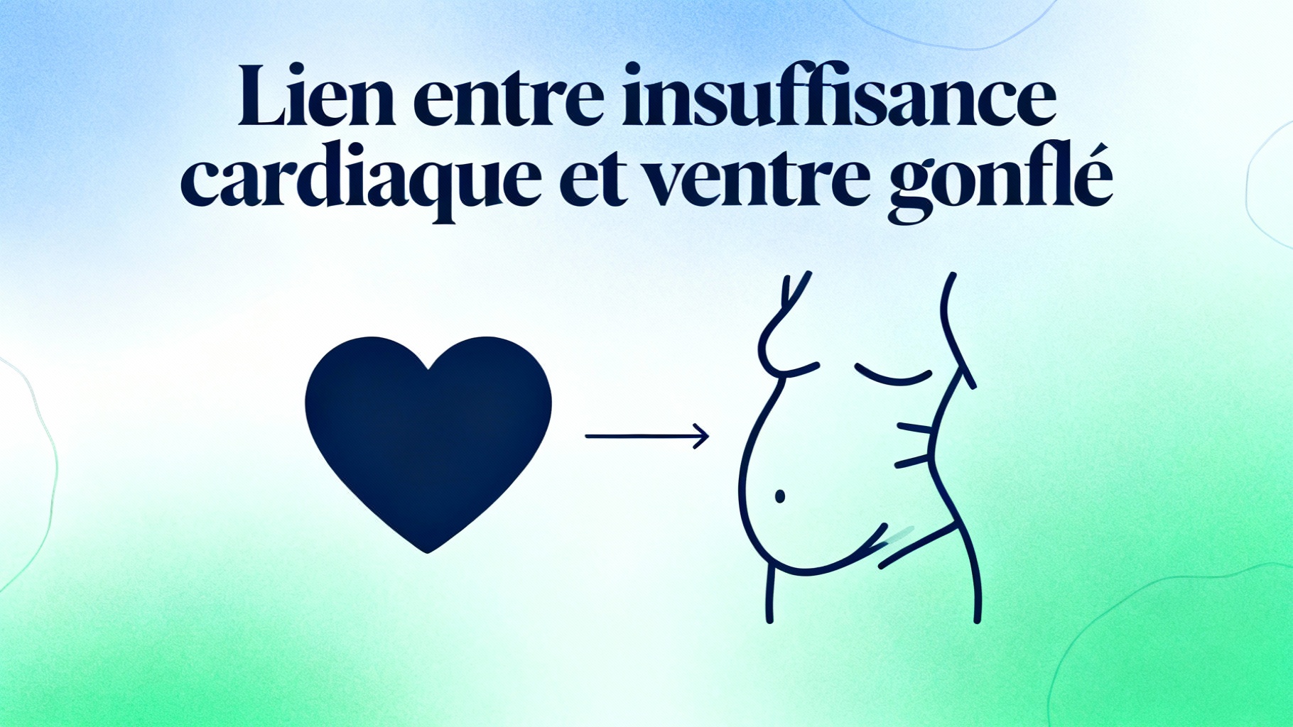 Lien entre insuffisance cardiaque et ventre gonflé